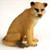 A detailed miniature lioness figurine designed for bonsai tree displays and terrariums. The figurine is crafted with a realistic, golden-brown fur texture and features a seated posture with its head turned slightly toward the viewer. Notable details include bright green eyes, a dark brown nose, and a dark-tipped tail curled around its hind leg. The lioness has a focused and alert expression, making it a perfect accent piece for nature-inspired miniature landscapes or fairy gardens. It sits on a white, slightly textured surface that contrasts with its warm, earthy tones.