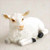 A detailed miniature figurine of a white goat, designed as an accessory for a bonsai tree or fairy garden. The goat is depicted in a resting pose, lying down with its head turned slightly to its left. It features textured white fur, black hooves, pointed ears, and light tan coloring around its nose and eyes. The figurine is shown on a plain, light-colored background, highlighting its realistic features and small scale.