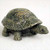 A detailed miniature turtle bonsai tree figurine with a highly textured, olive green and brown domed shell. The shell features intricate swirling patterns, and the turtle's head and thick legs are mottled with dark, realistic spots reminiscent of a tortoise. This small decorative accessory is shown from a three-quarter angle against a plain white background, highlighting the craftsmanship and lifelike appearance suitable for placement in a bonsai garden or terrarium.