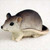 A detailed, hand-painted miniature mouse figurine designed as a decorative accessory for a bonsai tree landscape. The small mouse is depicted in a realistic, natural crouching pose with its long tail curled forward along its side. Its coloration features a soft gradient of charcoal grey on its back and head, fading into a light cream or off-white on its underbelly, paws, and face. The figurine includes fine, etched textures mimicking fur and small, shiny black bead-like eyes.