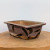 A detailed shot of a rectangular, tapered ceramic bonsai pot, an American handmade piece by Bruce Lenore. The body is coated in a matte, dusty lavender glaze, which is decorated with bold, dark brown brushstrokes that form an abstract leaf pattern. The pot features a wide, flat rim with a subtle dark outline. Its lower edge and interior reveal the natural, earthy tan of the unglazed clay, and it sits on a rustic, circular wood slab against a minimalist white background, highlighting its artisanal craftsmanship.