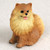 A highly detailed miniature figurine of a fluffy red Pomeranian dog, expertly sculpted to show a realistic, thick fur texture. The small figurine depicts the dog in a sitting pose, facing slightly forward with a cheerful expression and its tiny pink tongue peeking out of its mouth. The coat is a rich reddish-brown color, fading into a lighter cream or tan ruff around its chest and face, highlighting its dark, bead-like eyes and small black nose. This small-scale animal accessory is designed for use in bonsai tree landscapes, terrariums, or miniature fairy gardens, adding a charming and lifelike element to decorative indoor plant arrangements.