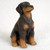 A detailed miniature figurine of a red Doberman Pinscher puppy with natural, uncropped floppy ears. The small dog sits alertly on a white, textured surface, looking upward and slightly to the side with a gentle, expectant expression. Its coat is a deep chocolate "red" brown, accented with classic rust-colored tan markings on its muzzle, chest, paws, and above its dark, soulful eyes. The figurine has a matte finish with a subtle texture that mimics the look of short fur. This charming Doberman Pinscher figurine is designed as a decorative accent for bonsai tree displays or fairy gardens.