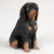A detailed miniature figurine of a Black and Tan Coonhound dog, intended as a decorative bonsai tree landscape accessory. The small statue depicts the hound in a sitting posture, featuring its signature long, drooping ears and warm tan markings on its muzzle, chest, and paws against a solid black coat. The figurine is crafted with a realistic fur-like texture and has expressive dark eyes looking slightly upward and to the side. It is shown against a neutral, off-white background, highlighting its use as a lifelike element for a miniature garden or indoor bonsai display.