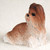 A realistic miniature figurine of a Shih Tzu dog, designed as a decorative accessory for bonsai trees. The figurine depicts the dog in a lying-down position, looking slightly upward and to the side with an alert expression. 

The Shih Tzu has a detailed coat with textured grooves to simulate long, flowing fur. Its coloring is a mix of tan and white, with the tan fur covering the top of its head, ears, and back, while white fur accents the chest, paws, and muzzle. Its facial features include large, glossy dark eyes, a small black nose, and a tiny pink tongue peeking out from its mouth. A small blue hair tie holds back a topknot of long tan fur on its head. The figurine is set against a neutral, off-white textured background, highlighting its small size and intricate craftsmanship.