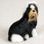 A detailed miniature figurine of a black and white Shih Tzu dog, perfect for adding a touch of charm to a bonsai tree display or fairy garden. The figurine shows the dog in a sitting position, capturing its characteristic long, silky hair. Its coat is a mix of deep black across its back and sides, contrasting with bright white fur on its lower half and tail. 

The Shih Tzu's face has a light tan muzzle and mustache, a small black nose, and a friendly expression with its pink tongue slightly visible. On top of its head, its long white hair is neatly gathered into a topknot and tied with a small blue bow. The overall texture of the figurine mimics the look of real, groomed dog fur, making it a lifelike and whimsical decorative accent. The figurine is set against a plain, light-colored background, emphasizing its intricate details and coloring.