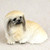A detailed miniature figurine of a Pekingese dog, specifically designed as a decorative accessory for a bonsai tree arrangement. The figurine shows the dog lying in a calm, alert pose with its front paws visible underneath its chest. The long, flowing coat is meticulously textured and painted in realistic shades of cream and light buff, transitioning to darker grey and black fur around the muzzle and large, expressive dark eyes. This small Pekingese statue is set against a neutral, light-textured background, highlighting its intricate hand-painted details and making it a perfect addition to a miniature garden or indoor bonsai display.
