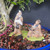 Close-up of two Chinese mud men figurines arranged in a blue bonsai pot