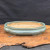 Oval Yixing bonsai planter SKU 1862G on an irregular wood slab