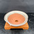 Shallow bowl-shaped 5.5 inch Kakuzan Tokoname bonsai pot