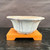 6.5 inch scalloped Tokoname bonsai pot by Kakuzan in an elegant lotus form