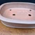 High angle close-up of the shallow unglazed oval Reiho bonsai pot
