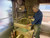 A high-angle, medium shot of an experienced Japanese potter at work in his rustic studio, preparing material for traditional bonsai pots. The man, with short grey hair and glasses resting on his head, wears a blue long-sleeve shirt and a heavily soiled apron. He is focused on operating a wooden-framed clay mixer or pug mill, which is filled with mounds of wet, unglazed grey-brown clay. Below the machine, a smooth, cylindrical log of processed clay extrudes onto a work surface. The workshop’s interior features earth-toned walls, wooden shelves holding various tools and boxes, and a large window covered in clay splatters that lets in natural light. To the left, two red fire extinguishers stand near the weathered wooden structure of the workbench. This scene captures the labor-intensive, artisanal process behind crafting high-quality vintage bonsai pots from the Seizan kiln.