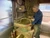 Japanese potter preparing material for traditional bonsai pots