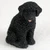 Miniature solid black Portuguese Water Dog figurine, a bonsai accessory