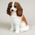 A detailed decorative figurine of a Cavalier King Charles Spaniel in a classic brown and white Blenheim pattern, shown sitting against a neutral, light-colored background. This miniature dog statue features the breed's signature long, wavy chestnut-brown ears, a white blaze on its forehead, a small black nose, and dark, expressive eyes. 

The textured surface of the figurine realistically mimics soft, long fur, particularly visible on its chest, front legs, and floppy ears. Designed as a charming and lifelike accessory for a bonsai tree or miniature indoor garden, this small collectible ornament captures the gentle and affectionate appearance typical of the Cavalier breed.