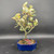 Front view of an upright Silverberry bonsai in a blue Japanese ceramic pot, showing a refined canopy, silvery foliage, and balanced upright structure against a dark background.