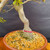 Close-up of imported Satsuki Azalea bonsai showing sculptural trunk movement and Tokoname grow pot