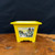 5 inch tall hand-painted yellow glazed Yixing bonsai pot with landscape panels