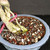 Close-up of the exposed root base on the Water Jasmine bonsai