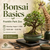 Promotional graphic for the Bonsai Basics workshop at Franklin Park Zoo featuring event details for Saturday, August 1, 2026 from 10:00 AM to 12:30 PM. The design includes a styled Jade bonsai in a ceramic pot on a workshop table, bonsai tools, a humidity tray, a zoo-themed background with a giraffe, and text noting that zoo admission is required and an optional starter kit is available.