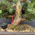 Close-up of the Kishu Shimpaku trunk showing aged bark, pale deadwood, reddish live wood, compact foliage, juniper berries, coarse bonsai soil, and a fertilizer basket in the pot.