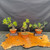 Representative group of Mark Comstock pine seedling cutting pre-bonsai in small Tokoname grow pots, showing wired young trunks, fresh green needles, and varied future styling options.