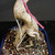 Close-up of Imported Tiger Bark Ficus bonsai trunk base showing exposed roots, aerial root detail, speckled bark texture, coarse bonsai soil, and pink identification tag.