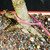 Detailed close-up of the Chinese Elm’s wide trunk base and strong exposed roots spreading into coarse bonsai soil inside the coral glazed pot