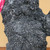 Close-up of the planting rock's coarse black sand and cement surface