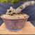 Close-up of the Black Olive bonsai’s textured trunk base entering a wide, round Sam Miller pot with a reddish-brown finish, dark mottling, small feet, and circular lower-wall details.