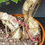 Tiger Bark Ficus (Ficus microcarpa) pre-bonsai, tree TWEB19447, close-up of trunk and base