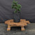 Dwarf Hinoki Cypress (Chamaecyparis obtusa) pre-bonsai opened up by John Romano, tree 21422, second view