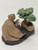 A handcrafted Chinese mudman figurine, model F-046, depicts a man sitting and playing a koto harp while admiring a miniature bonsai tree. The figure is captured from a side-rear perspective, showing the man with a bald head and simple, traditional robes made from natural, unglazed tan-colored clay. He is hunched slightly over a small, white rectangular piece representing the koto harp. 

To his right, a tiny ceramic bonsai tree sits in a small, unglazed pot. The tree features a thick, brown trunk and dense, bumpy foliage finished with a vibrant, glossy green glaze that contrasts with the matte clay of the figure. The entire scene is mounted on a single, dark-toned, textured oval base. This decorative miniature captures a serene moment of artistic appreciation and is a classic example of a mudman figurine used as an accent for bonsai displays.