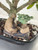 A detailed, handcrafted Chinese mudman figurine, model F-046, sits at the base of a mature bonsai tree. The figurine features a bald, elderly man in a light brown traditional robe with dark accents, kneeling on a dark, log-shaped base. He is depicted holding a white koto harp while admiring his own tiny, glazed miniature bonsai tree that has a green canopy and a tan pot. The scene is set within a glossy black bonsai pot filled with a mix of dark and light-colored volcanic pebbles, highlighting the intricate ceramic craftsmanship and the serene, artistic connection between the man and his bonsai.