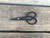 Yoshiaki azalea bud bonsai shears resting horizontally on a light wood surface