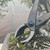 Japanese Concave Cutters (No. C11)
