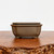 Udei Uglazed Bonsai Pot