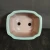 Inside of the celadon green bonsai pot, unglazed brown interior with two drainage holes
