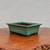 A high-angle studio photograph of a rectangular Tokoname bonsai pot, showcasing a traditional Oribe green glaze. The pot features a clean, architectural design with a flat, slightly flared rim and a single horizontal decorative line wrapping around its center. The glaze is a rich, matte teal-green that transitions into a dark, unglazed brown clay at the very bottom and inside the basin. The pot sits on a sturdy, footed base with elegant arched cutouts for drainage and airflow. It is positioned on a polished, warm-toned wooden slab with a natural, wavy edge, set against a minimalist, textured off-white background. This Japanese ceramic piece exemplifies the refined craftsmanship typical of Tokoname-ware.
