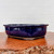 A side-profile shot of a shallow, oval-shaped Japanese Tokoname bonsai pot. The pot is finished in a vibrant, glossy "namako" deep blue glaze that catches and reflects the light. It features a slightly flared rim and sits on small, integrated feet for drainage. The bottom edge of the pot remains unglazed, revealing the natural, light-colored ceramic clay beneath. The pot is presented on a polished wooden display board with a rustic, textured live edge, set against a simple, off-white textured background.