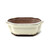 6" Glazed Ceramic Bonsai Pots (Choose Style)