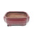 6" Glazed Ceramic Bonsai Pots (Choose Style)