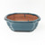 6" Glazed Ceramic Bonsai Pots (Choose Style)