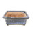 6" Glazed Ceramic Bonsai Pots (Choose Style)