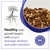 A promotional graphic for premium bonsai soil, featuring a clean design with blue and white accents. On the left, a grey silhouette of a stylized tree with an extensive, deep-reaching root system highlights the importance of underground health. To the right, a circular inset provides a close-up view of a gritty, well-draining soil blend, showing a mixture of small, porous volcanic rocks in earthy shades of reddish-brown, tan, and light grey, indicative of high-quality components like lava rock and pumice. 

Centrally located text in bold black and blue fonts reads, "Healthy root growth begins with proper drainage, aeration, and water retention," emphasizing the key benefits of this specialized substrate for bonsai trees. A blue circular seal in the bottom right corner states, "SATISFACTION 100% GUARANTEED," framed by white stars.