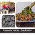 An informational collage showcasing premium black lava rock used as a bonsai top-dressing. In the top-left section, a professional nursery workshop is visible, featuring large red Tinyroots industrial machinery, such as hoppers and conveyor belts, used for formulating and mixing specialized bonsai soil. Below this, a detailed close-up shot emphasizes the coarse, irregular, and porous texture of dark gray and black lava rocks, highlighting their role in improving aeration and drainage for healthy root growth. 

The right half of the image features a close-up of a bonsai tree's trunk base and roots partially covered in lush green moss, nestled in a decorative dark blue ceramic pot. The soil surface is neatly finished with a top-dressing of the featured black lava rock mixed with reddish-brown volcanic granules, providing a clean and professional aesthetic. A black banner at the bottom contains white text that reads, "Commonly used as a Top-dressing," followed by "Formulated & Mixed At Our Nursery" and "Perfecting Soil Since 1987," emphasizing the brand's long-standing expertise and quality-controlled production.