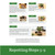 Bonsai Tree Repotting Guide Steps 5-9