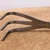 Close-up profile of the three curved tines on the Tinyroots rake end