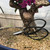 Black bonsai shears with looping handles resting on granular bonsai soil
